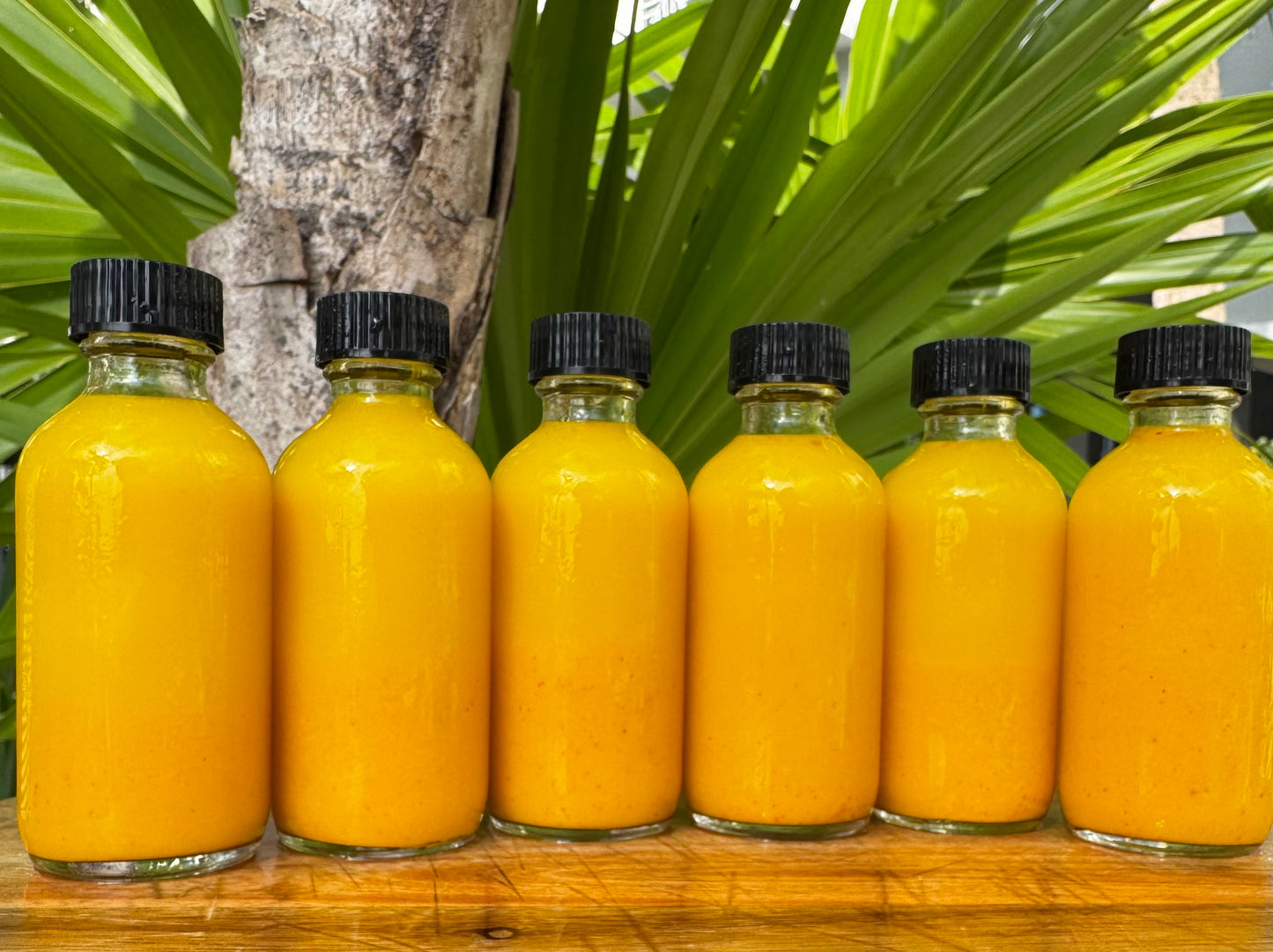 Turmerific Wellness Shot Bundle